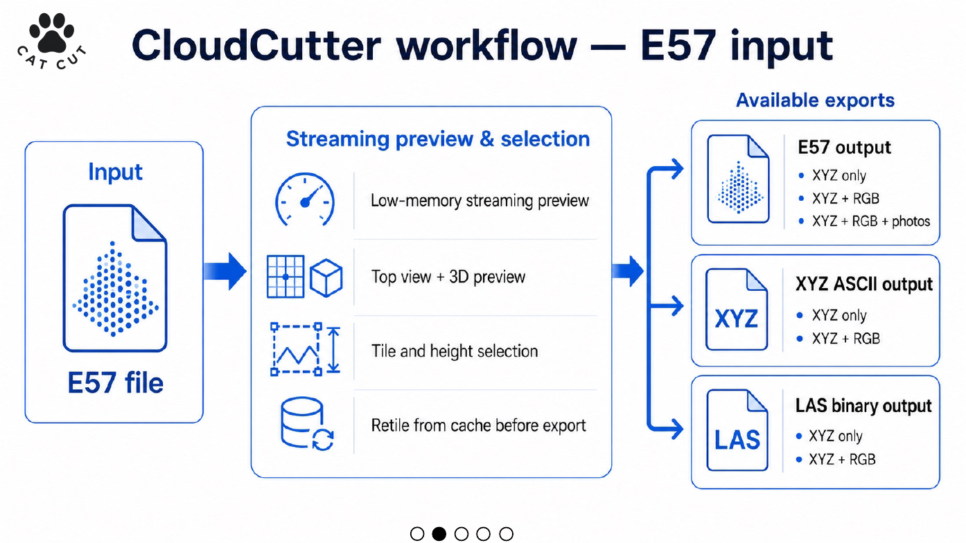 Figure 5. E57 input workflow and available output families.
