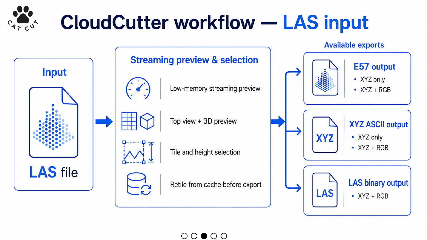 Figure 6. LAS input workflow and available output families.