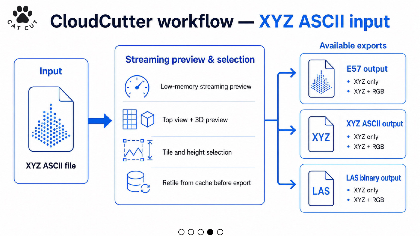 Figure 7. XYZ ASCII input workflow and available output families.